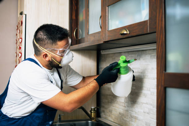  Argentine, MI Pest Control Pros