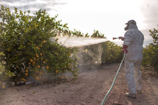 Best Pest Control Near Me in Argentine, MI
