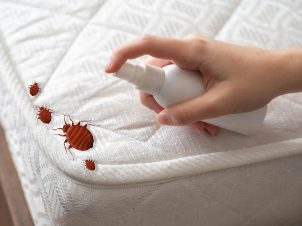 Best Pest Removal Services  in Argentine, MI